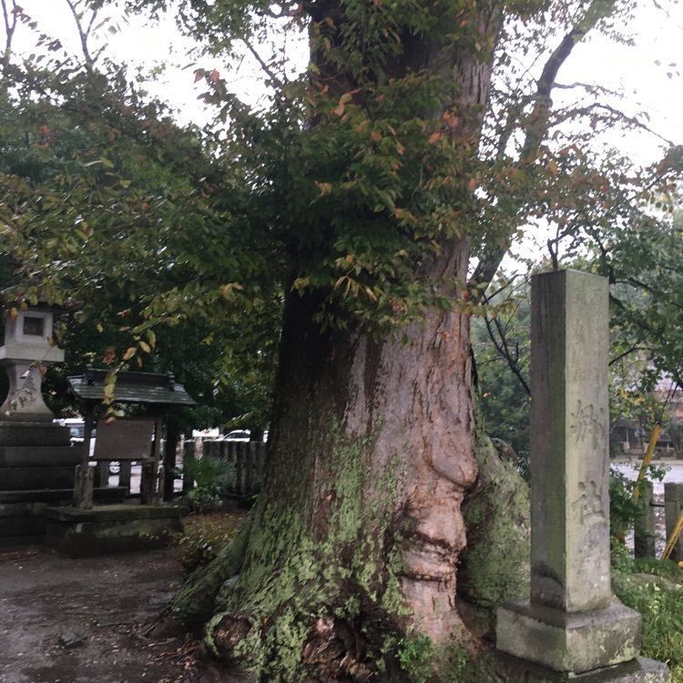 ニシさんが投稿した雀神社に関する口コミの画像