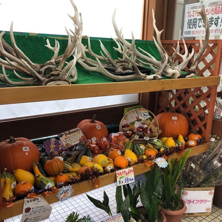 kazu&kinakoさんが投稿した道の駅 ステラ★ほんべつに関する口コミの画像
