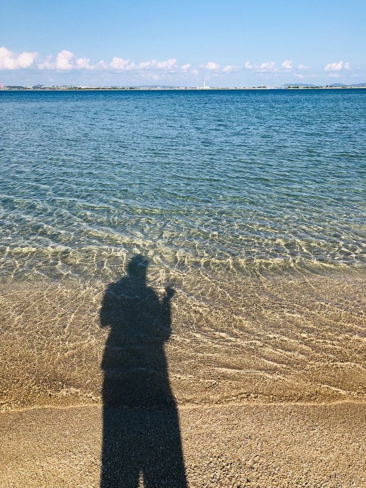 れいんぼうれいんぼうさんが投稿した海ぶどう平安座に関する口コミの画像