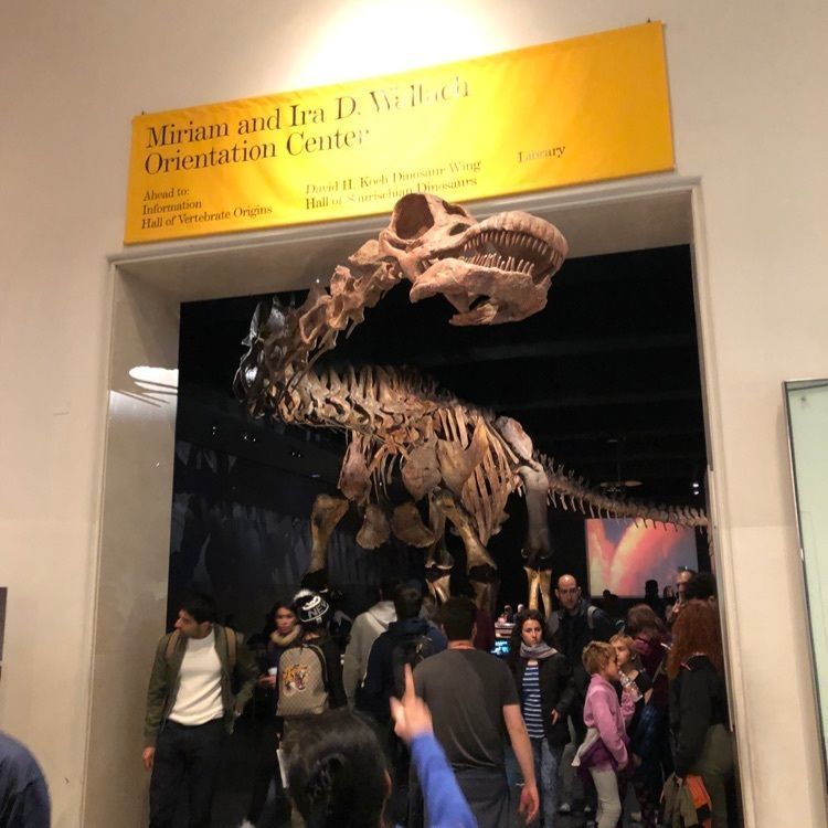 triplivesさんが投稿したアメリカ自然史博物館に関する口コミの画像