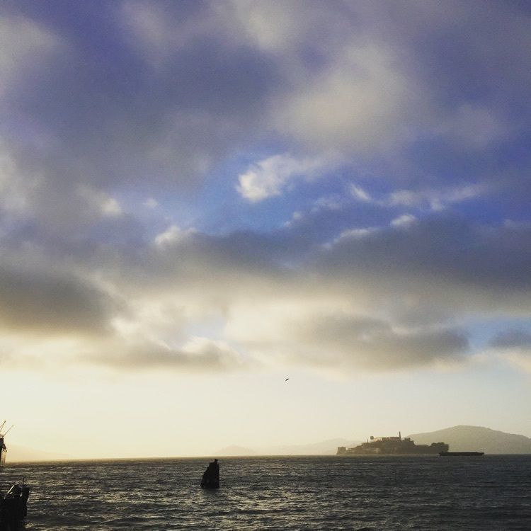triplivesさんが投稿したThe Fisherman’s Wharfに関する口コミの画像