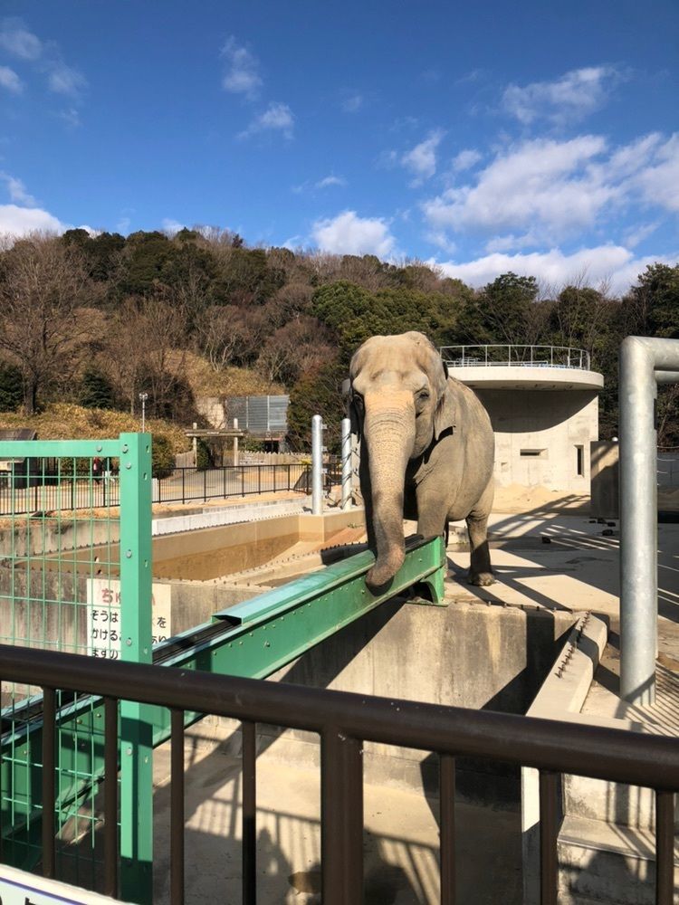 #おでかけ #東公園 #岡崎