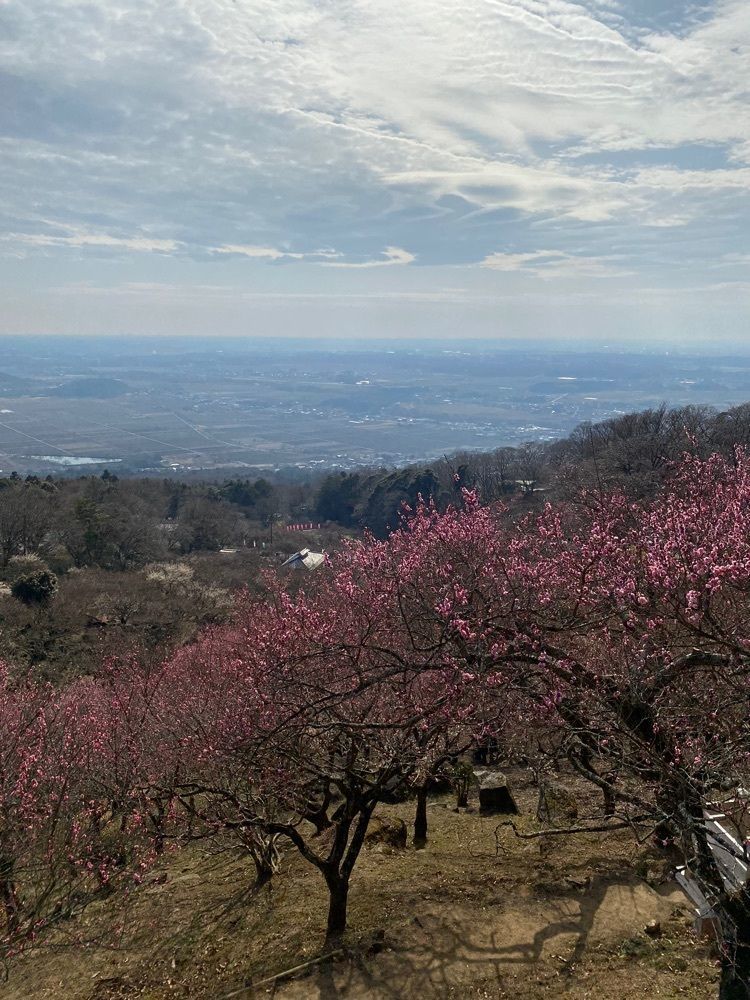 かよこさんが投稿した筑波山観光案内所に関する口コミの画像