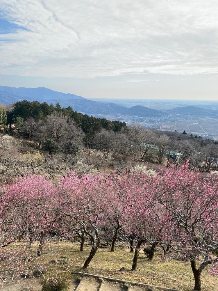 かよこさんが投稿した筑波山観光案内所に関する口コミの画像
