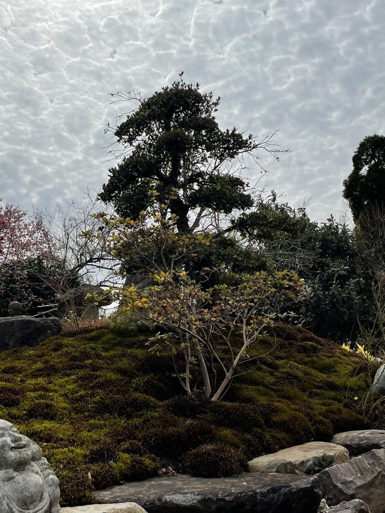 TK_RO_0sa6,さんが投稿した寺山展望所に関する口コミの画像