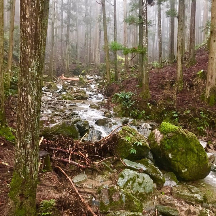 Angsanaさんが投稿した吉野町に関する口コミの画像