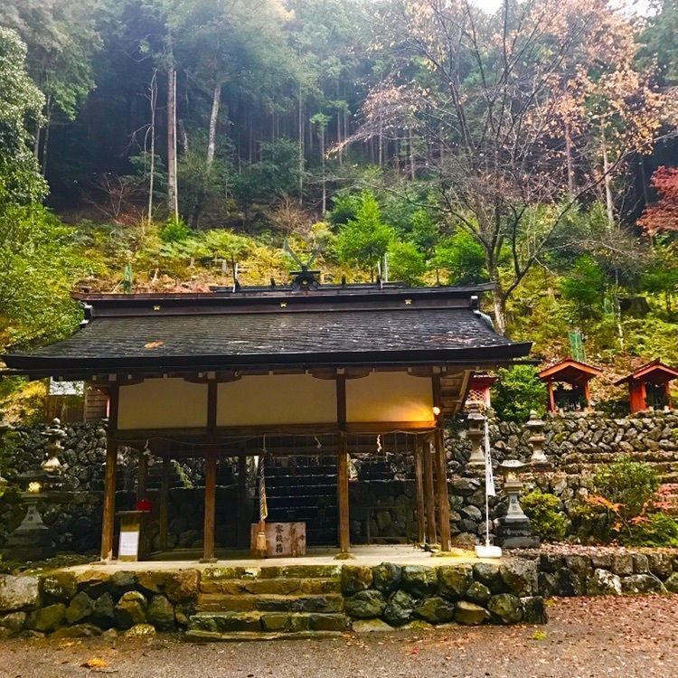 Angsanaさんが投稿した吉野町に関する口コミの画像