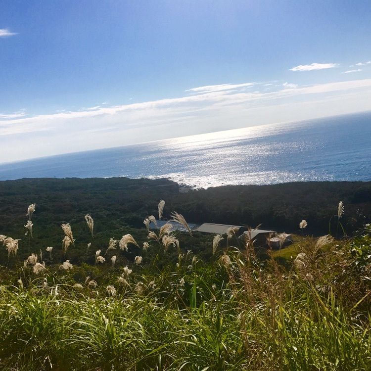 Angsanaさんが投稿した大島町に関する口コミの画像