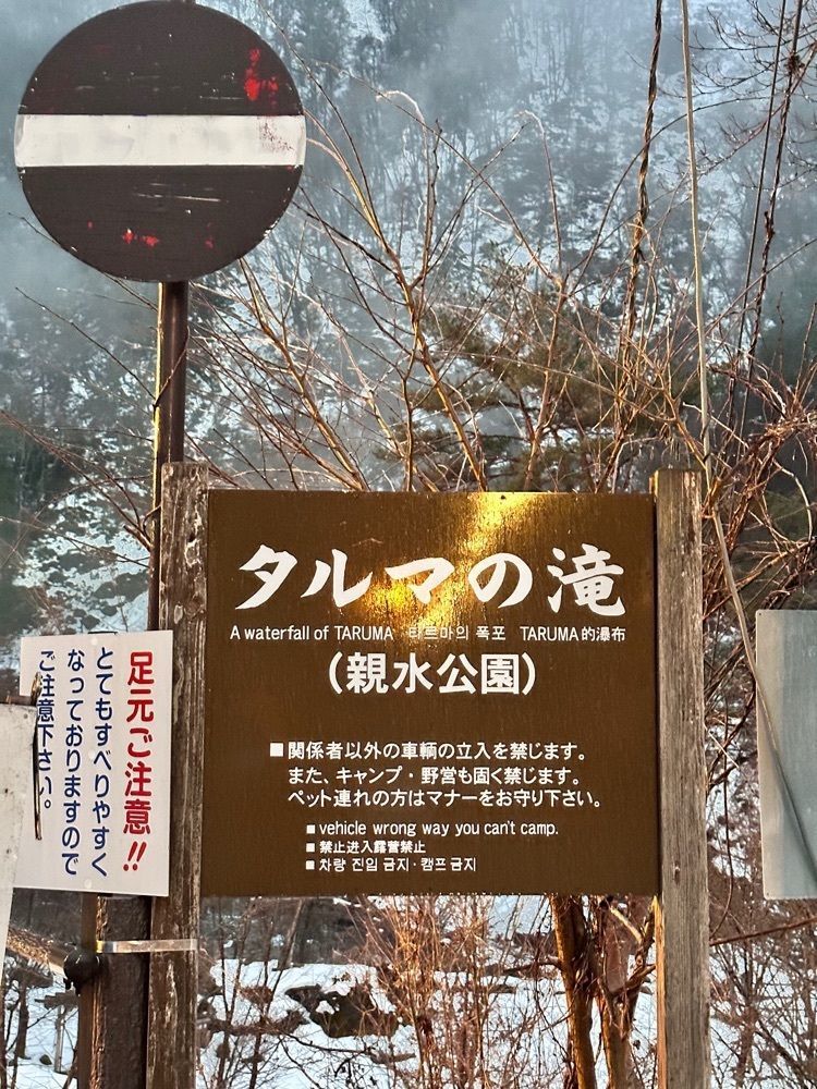 ぺたこ♡さんが投稿したタルマかねこおりライトアップに関する口コミの画像
