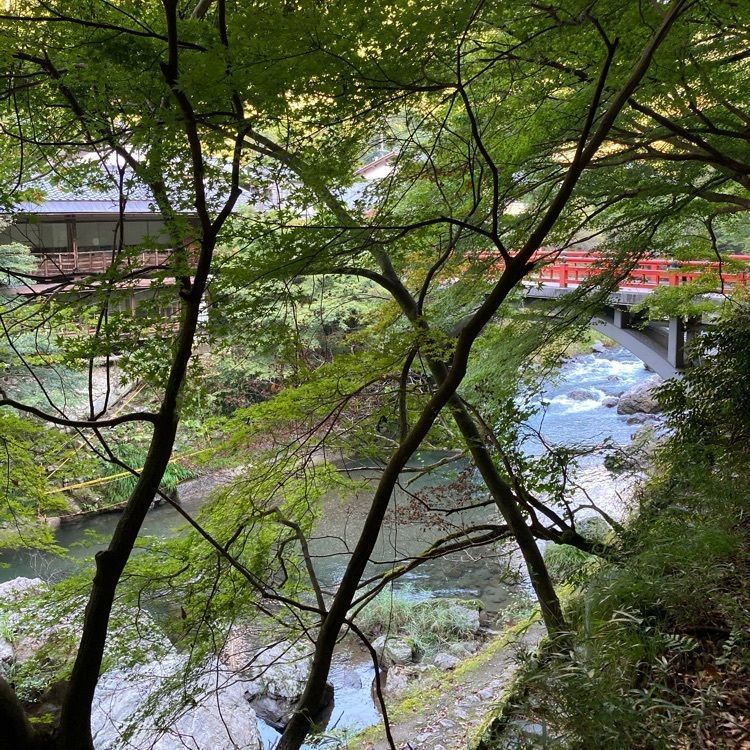 佳さんが投稿した空也の滝に関する口コミの画像