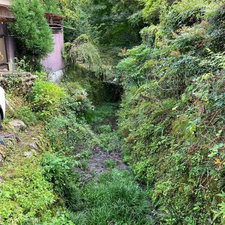 佳さんが投稿した空也の滝に関する口コミの画像
