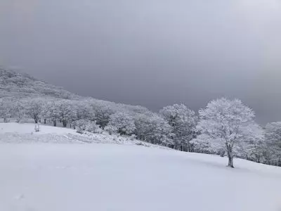 明神平
