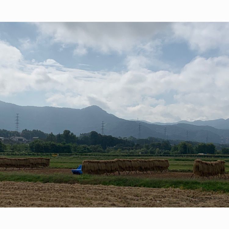 Howl Monさんが投稿した塩尻宿に関する口コミの画像