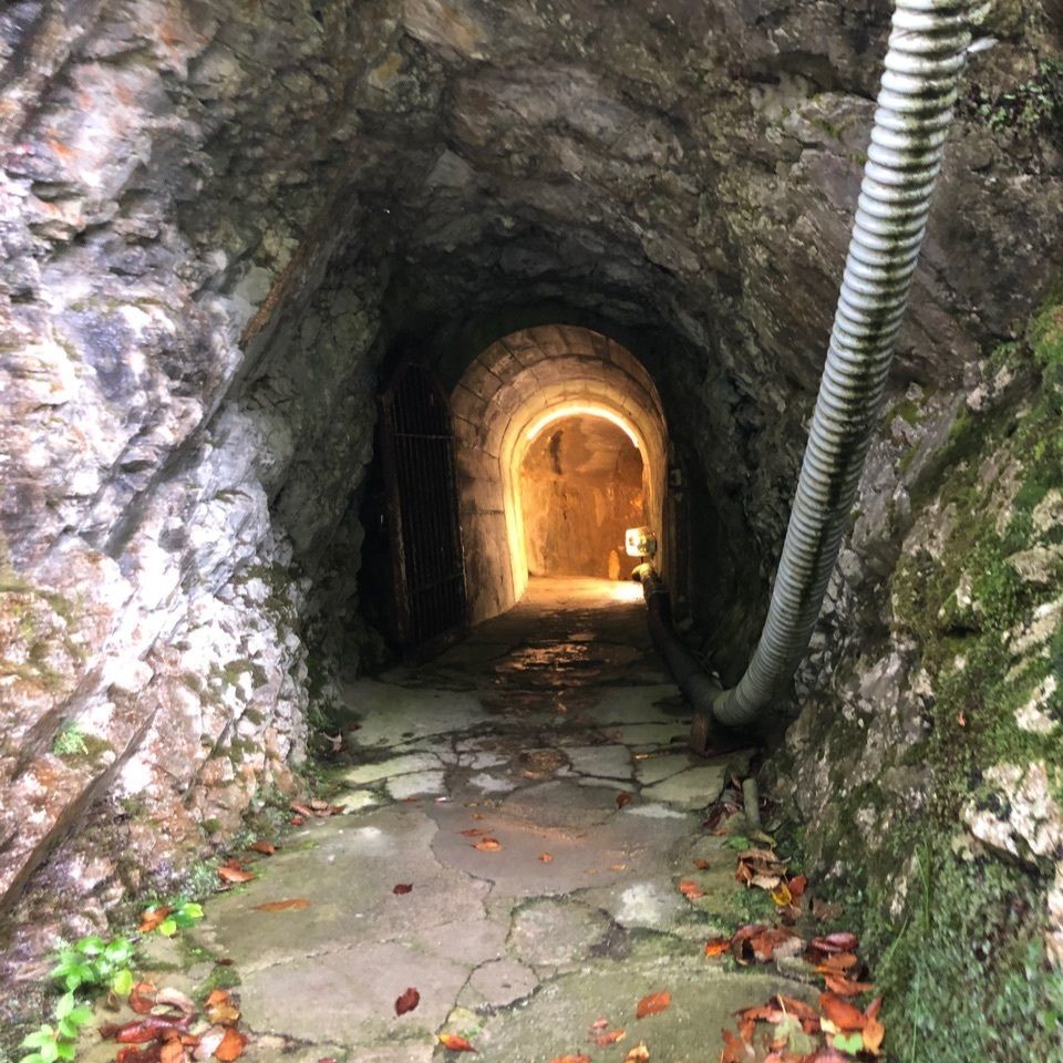 nostalgic_location_ed43さんが投稿した滝観洞観光センターに関する口コミの画像