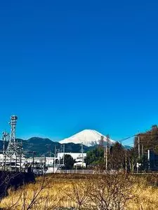 一般社団法人　松田町観光協会