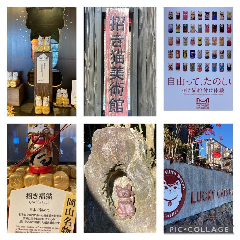 うーとらマンさんが投稿した招き猫美術館に関する口コミの画像