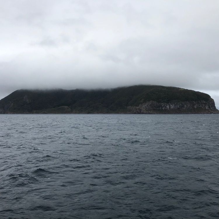 サトツルさんが投稿した海峡日和 大間店（カイキョウビヨリ）に関する口コミの画像