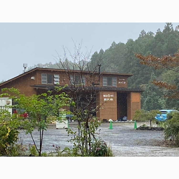 Musashiさんが投稿した花いかだに関する口コミの画像