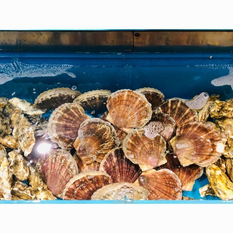サトツルさんが投稿したすしの鮮昇 函館朝市店（スシノセンショウ）に関する口コミの画像