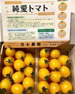佐野プレミアム・アウトレット