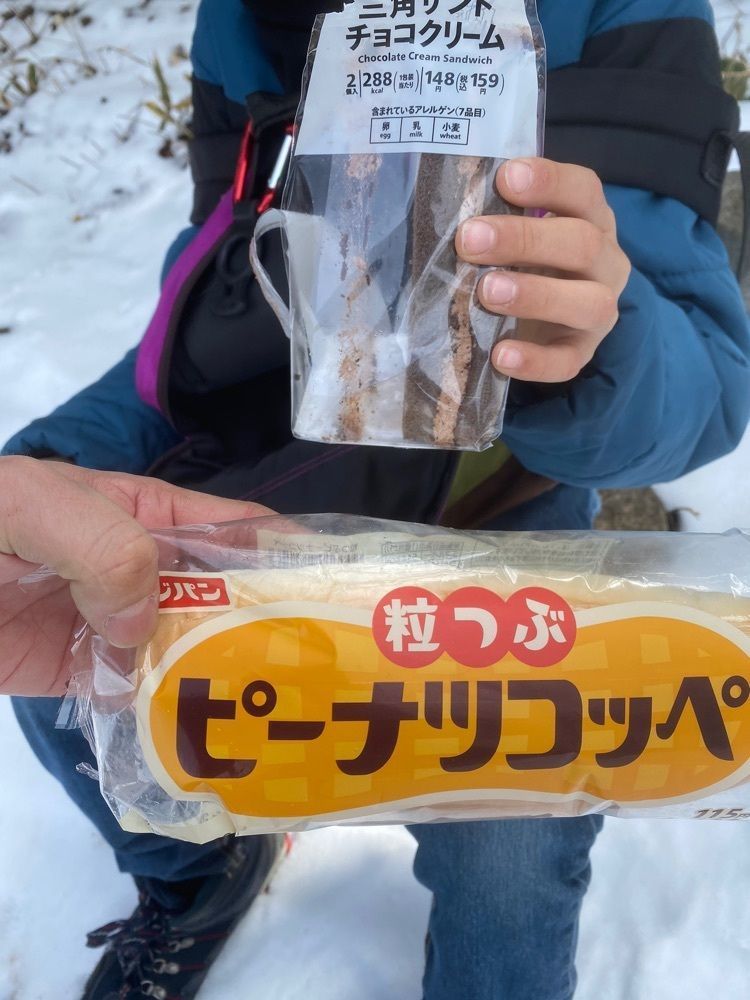 あるふぃすたさんが投稿した天上山に関する口コミの画像