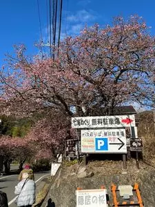 溶岩洞窟温泉