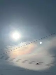 穂谷コスモス畑