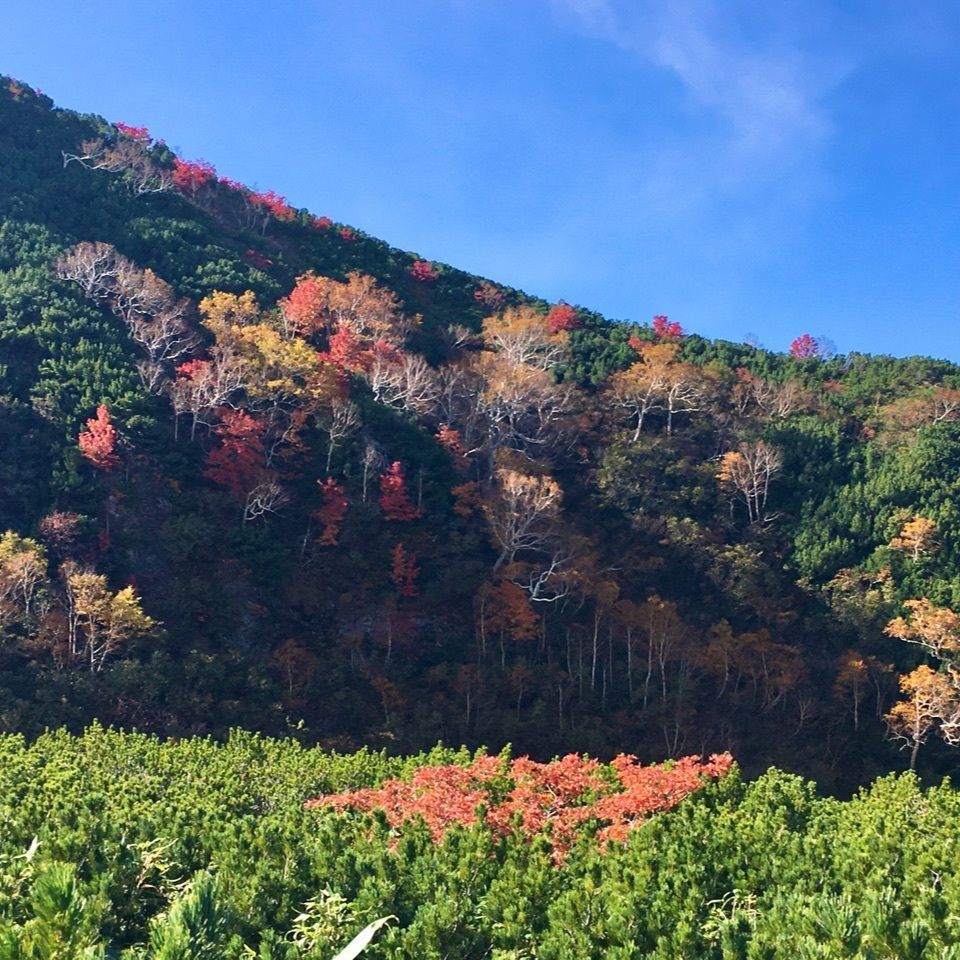 yoshiさんが投稿した安政火口に関する口コミの画像