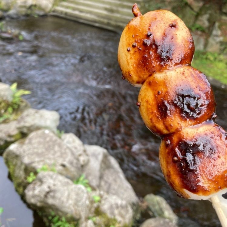 ぐみさんが投稿した白川水源に関する口コミの画像