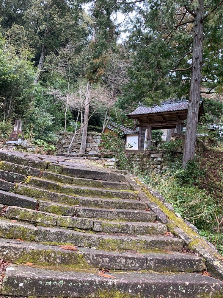 九尾の狐さんが投稿した天恩寺に関する口コミの画像