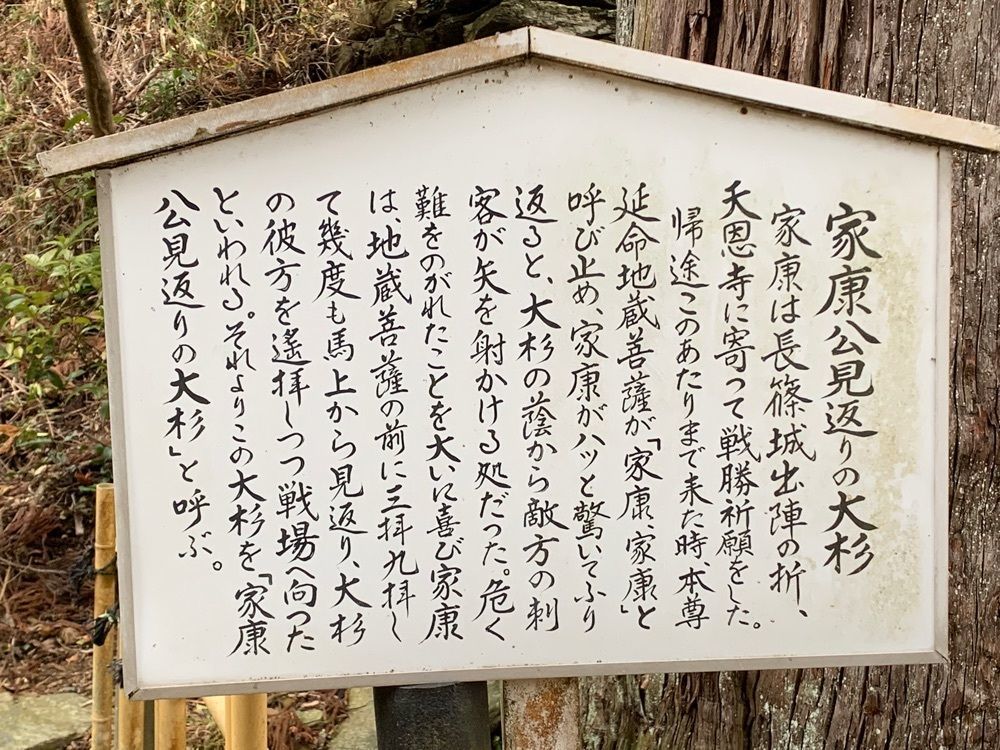 九尾の狐さんが投稿した天恩寺に関する口コミの画像