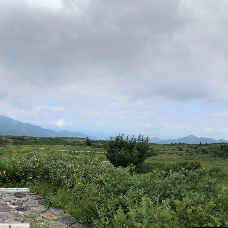 Jineiさんが投稿した弥陀ヶ原（富山県立山町）に関する口コミの画像