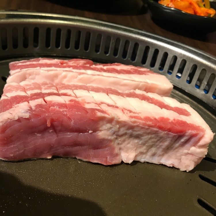 旅するリャマの画像