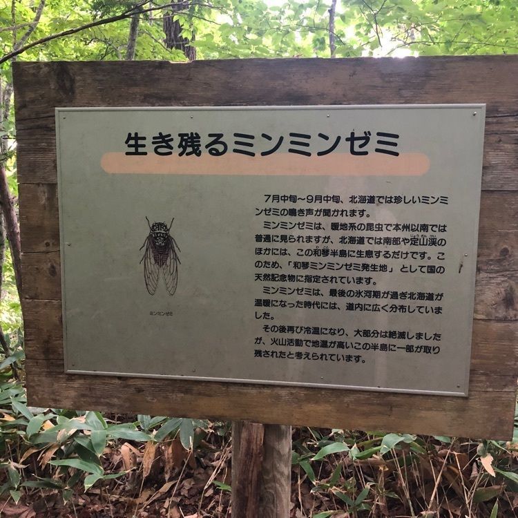 kazu&kinakoさんが投稿した和琴半島自然探勝路に関する口コミの画像