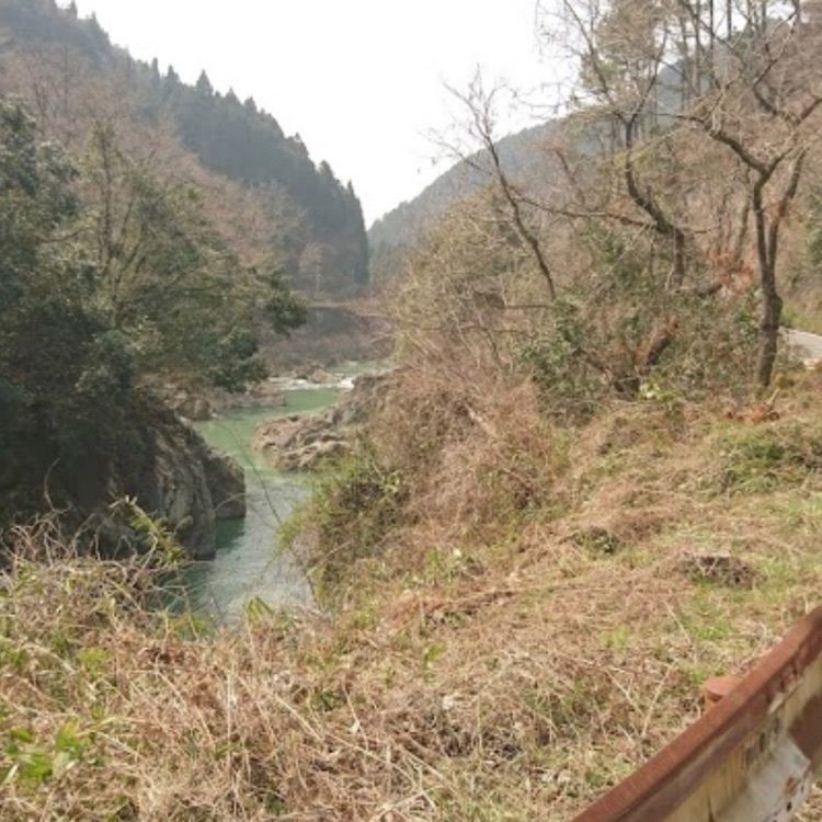 ＤＪゴン太さんが投稿した川代公園に関する口コミの画像