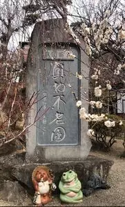 不老園の梅