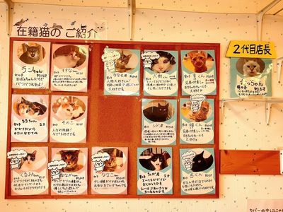 施設画像