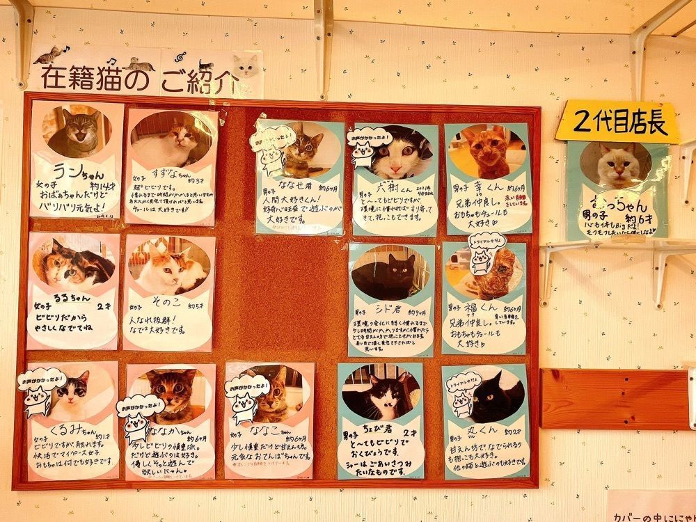 猫なぎ。さんが投稿した保護猫シェルター「おうちにおいで。」に関する口コミの画像