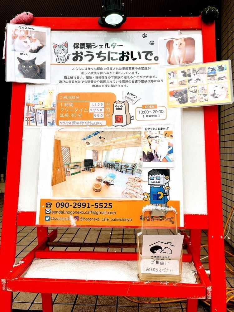 猫なぎ。さんが投稿した保護猫シェルター「おうちにおいで。」に関する口コミの画像