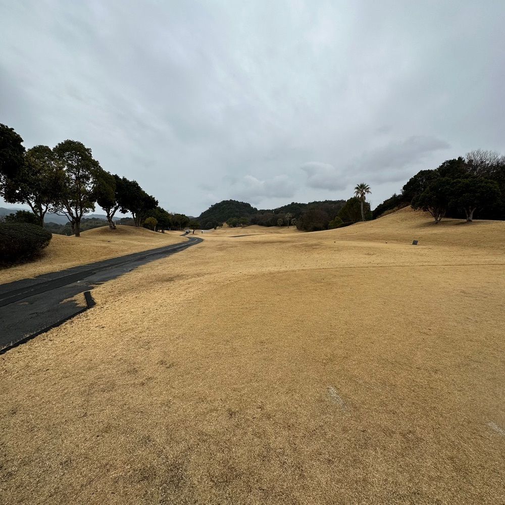 kumakentoraさんが投稿した南紀白浜リゾートホテルに関する口コミの画像