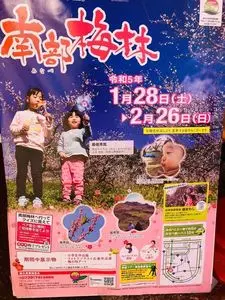 南部梅林