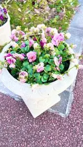 花と音楽の館かわさと「花久の里」