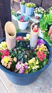 花と音楽の館かわさと「花久の里」