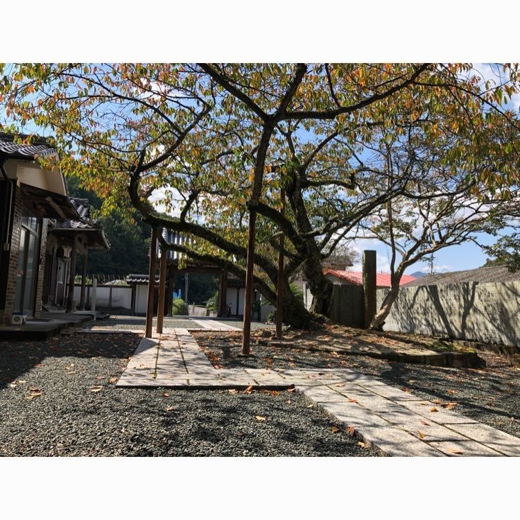 花❁⃘華  さんが投稿した霊岩寺に関する口コミの画像