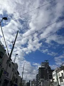 徳林寺