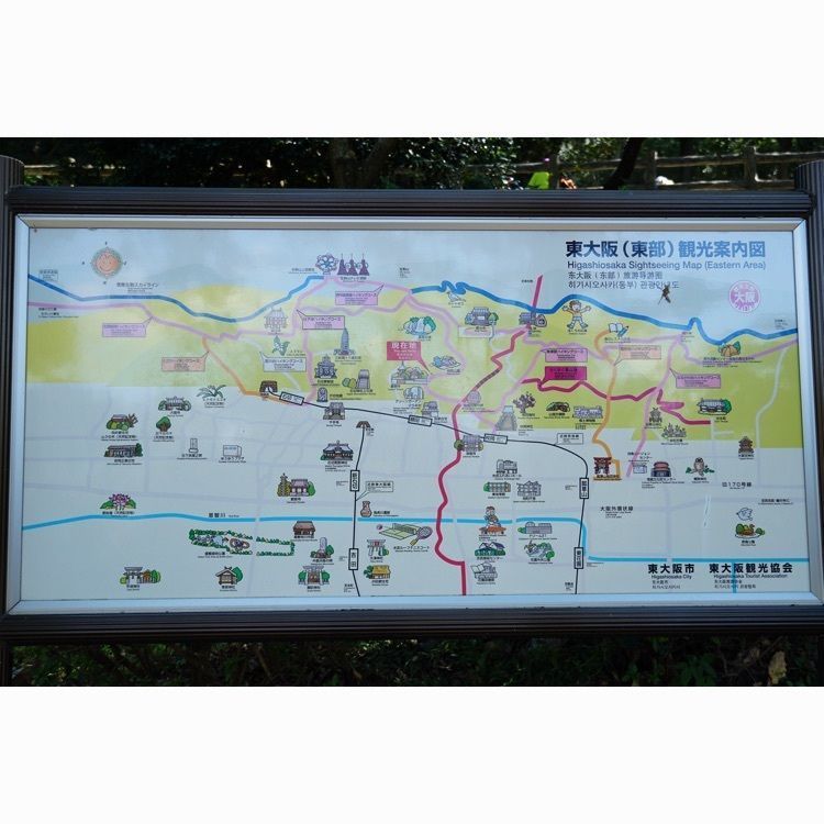 m_keijiさんが投稿した枚岡公園に関する口コミの画像
