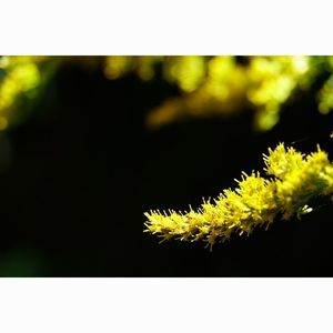 枚岡公園 8枚目