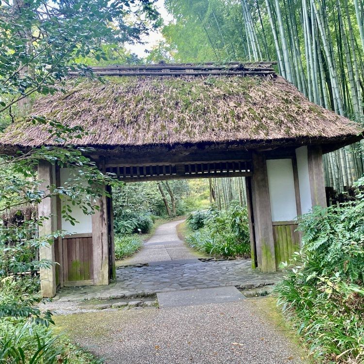 RIMの画像