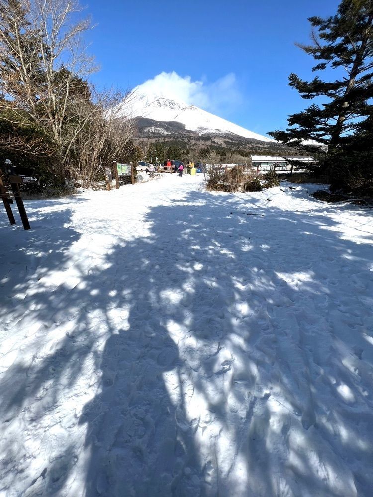 ビンカさんが投稿した森の駅富士山に関する口コミの画像