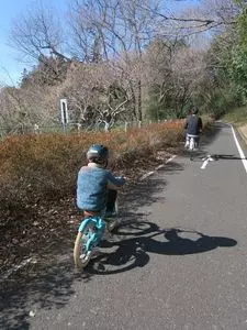 国営武蔵丘陵森林公園 西口売店